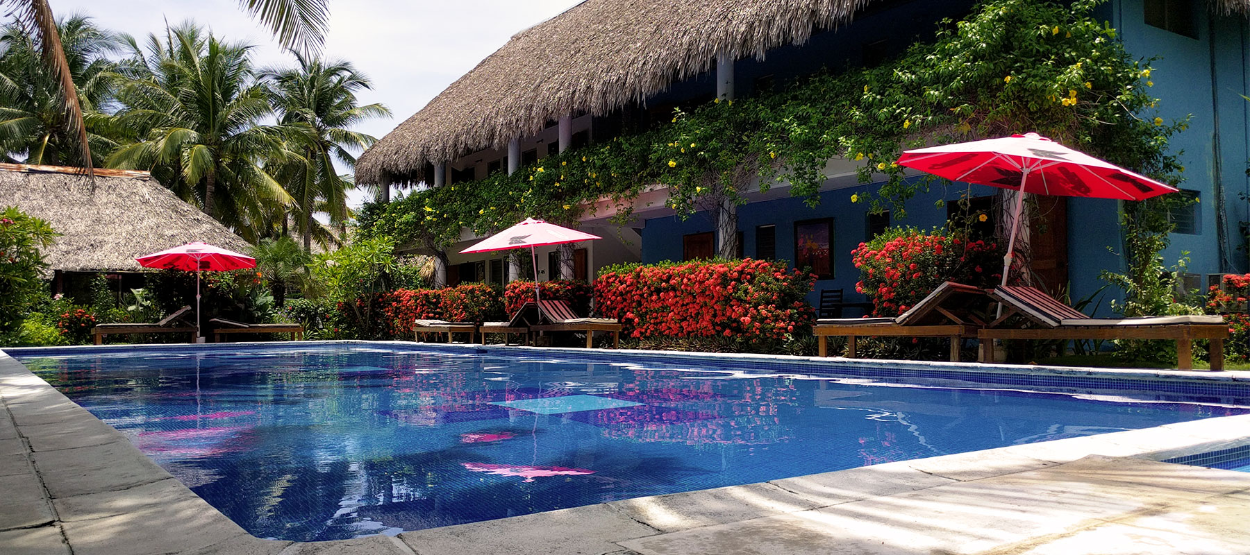 Conocer el hotel